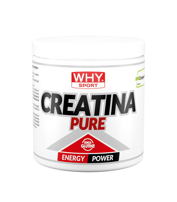 WHY SPORT CREATINA PURE 300 g