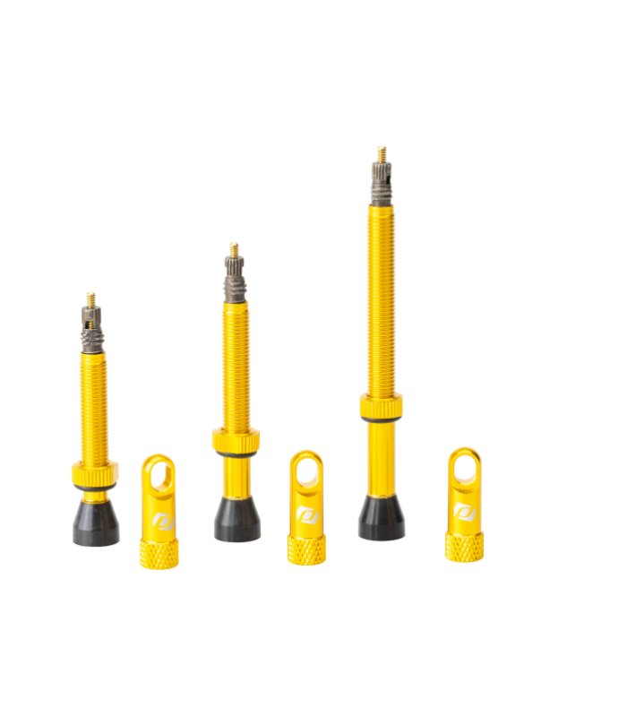 SYNCROS Valvole tubeless - 50 mm - SCEGLI COLORAZIONE