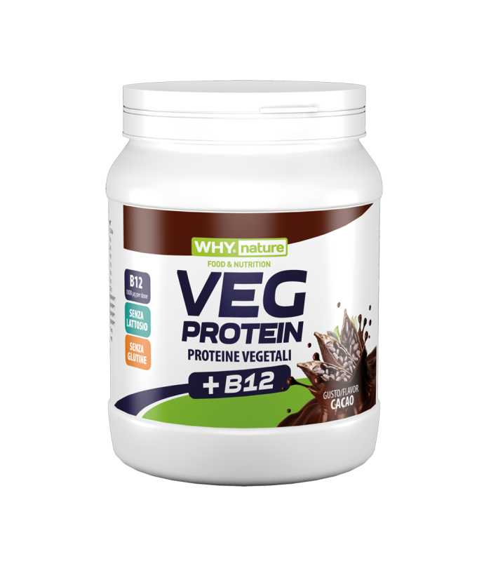WHY NATURE VEG PROTEIN 450g