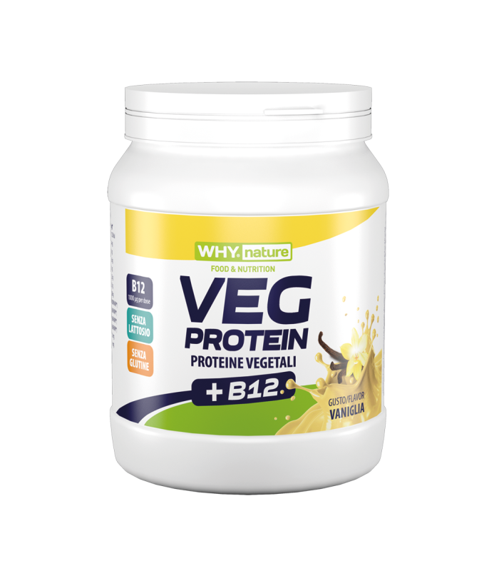 WHY NATURE VEG PROTEIN 450g