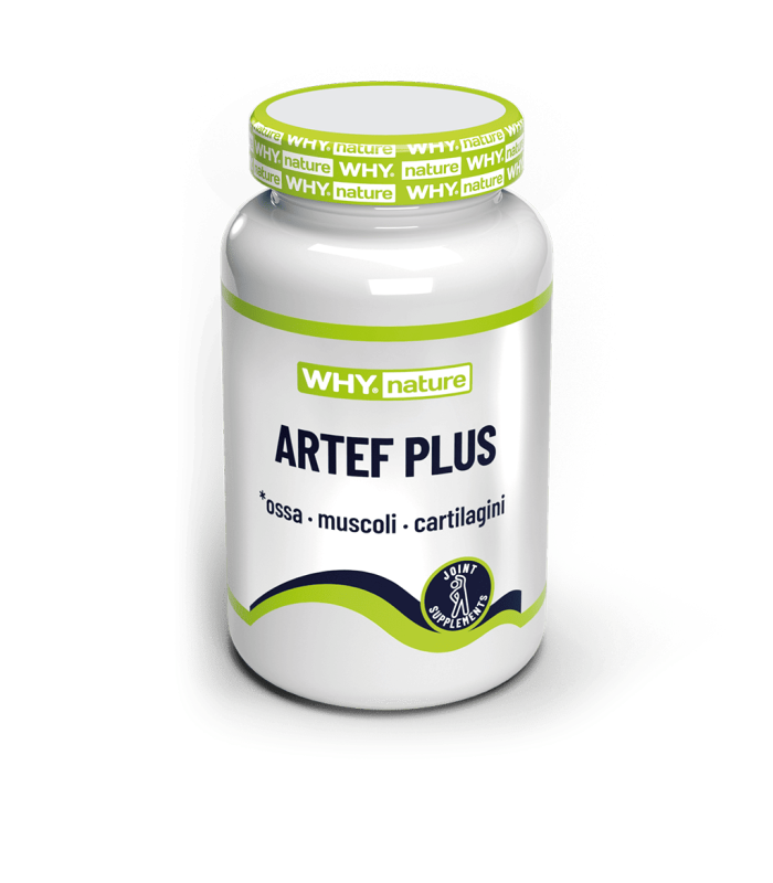 WHY NATURE ARTEF PLUS COMPRESSE 1000 -60 cpr