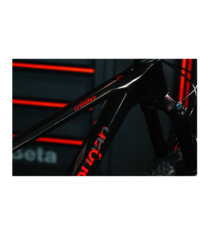 Crossfire Trail BOREAL LEE COUGAN - MTB CUSTOM