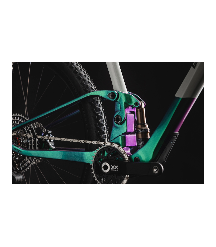 Crossfire Trail BOREAL LEE COUGAN - MTB CUSTOM